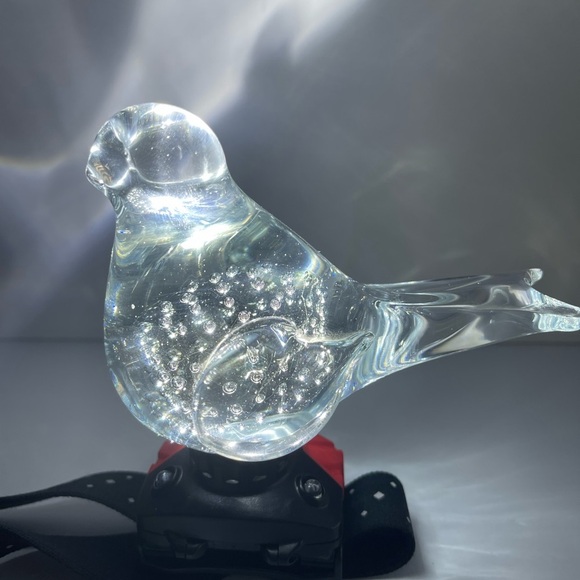 Glass Bird Paper weight w/Bubbles​ - Picture 2 of 10